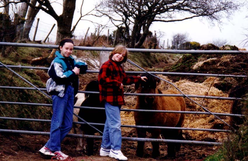 Lou & Sara - Dartmoor Ponies